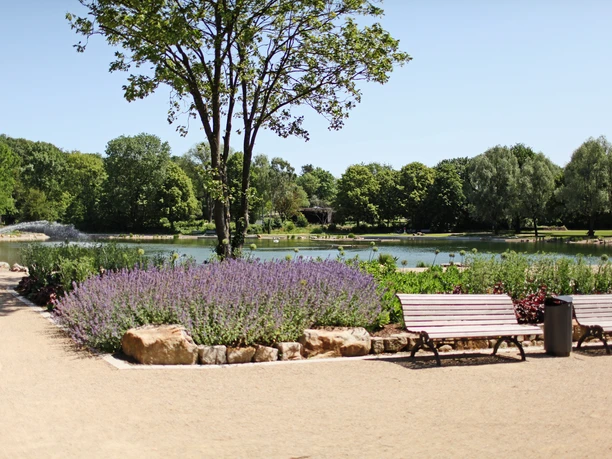 erlebnis-kurpark_katrin_neumann Zwei Parkbänke vor blühenden Lavendeln mit einem See im Hintergrund, umrahmt von Bäumen.