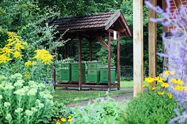 lehrbienenstand Groene bijenkorven onder een houten afdak, omringd door kleurrijke bloemen.