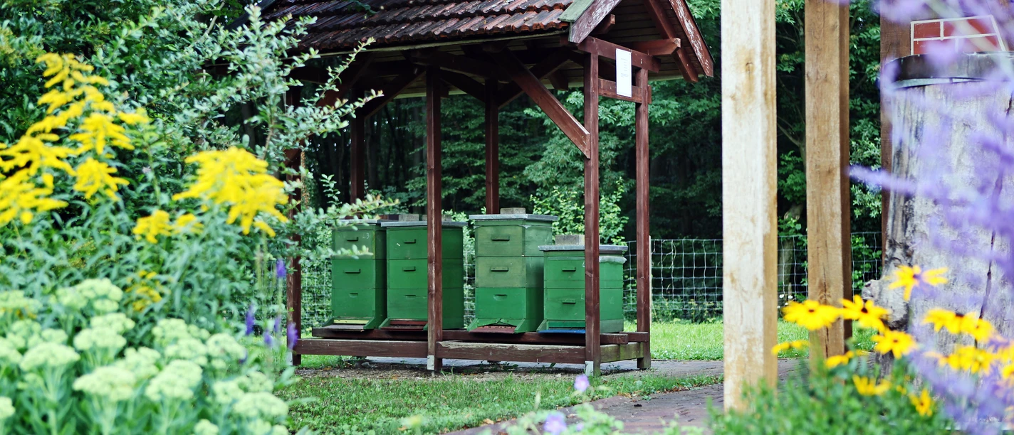 lehrbienenstand Grüne Bienenstöcke unter einem Holzunterstand, umgeben von farbenfrohen Blumen.