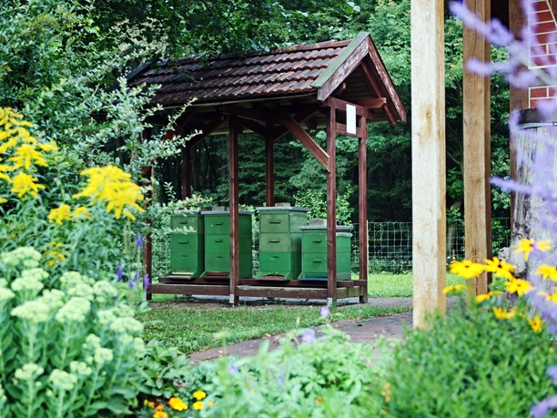 lehrbienenstand Grüne Bienenstöcke unter einem Holzunterstand, umgeben von farbenfrohen Blumen.