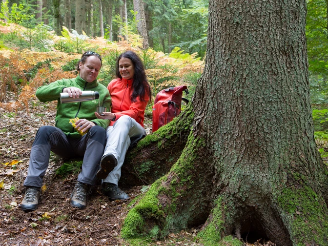 Pause am Wegesrand Ein Paar im Outdoor-Outfit genießt eine Pause im Wald und gießt Tee in einen Becher ein.