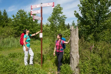 Twee wandelaars bestuderen wegwijzers in een groene, bosrijke omgeving.