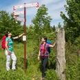 Zwei Wanderer studieren Wegweiser in einer grünen, bewaldeten Umgebung.Two hikers study signposts in a green, wooded setting.To vandrere studerer skilte i et grønt, skovklædt område.Twee wandelaars bestuderen wegwijzers in een groene, bosrijke omgeving.