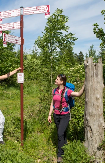 Zwei Wanderer studieren Wegweiser in einer grünen, bewaldeten Umgebung.Two hikers study signposts in a green, wooded setting.To vandrere studerer skilte i et grønt, skovklædt område.Twee wandelaars bestuderen wegwijzers in een groene, bosrijke omgeving.