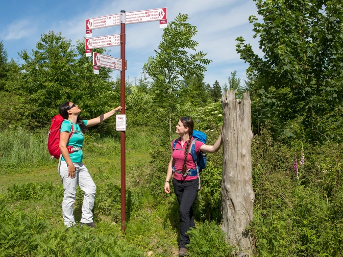 Beschilderung des Wanderweges Zwei Wanderer studieren Wegweiser in einer grünen, bewaldeten Umgebung.Two hikers study signposts in a green, wooded setting.To vandrere studerer skilte i et grønt, skovklædt område.Twee wandelaars bestuderen wegwijzers in een groene, bosrijke omgeving.