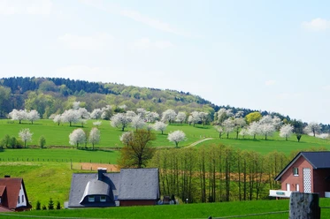 Forellental_Hagen aTW_schöne Aussicht_CC_Gemeinde Hagen atw