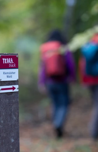 Wegweiser zur Terra Track Wanderroute im Riesenbecker Wald mit unscharfen Wanderern im Hintergrund.Signpost to the Terra Track hiking route in Riesenbeck Forest with blurred hikers in the background.Skilt til vandreruten Terra Track i Riesenbeck Skov med slørede vandrere i baggrunden.Wegwijzer naar de Terra Track wandelroute in het Riesenbeck bos met onscherpe wandelaars op de achtergrond.