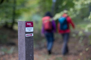 Beschilderung im Riemsloher Wald Wegweiser zur Terra Track Wanderroute im Riesenbecker Wald mit unscharfen Wanderern im Hintergrund.
