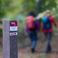 Beschilderung im Riemsloher Wald Wegweiser zur Terra Track Wanderroute im Riesenbecker Wald mit unscharfen Wanderern im Hintergrund.Signpost to the Terra Track hiking route in Riesenbeck Forest with blurred hikers in the background.Skilt til vandreruten Terra Track i Riesenbeck Skov med slørede vandrere i baggrunden.Wegwijzer naar de Terra Track wandelroute in het Riesenbeck bos met onscherpe wandelaars op de achtergrond.