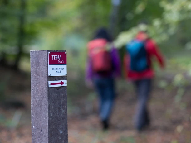 Beschilderung im Riemsloher Wald Wegweiser zur Terra Track Wanderroute im Riesenbecker Wald mit unscharfen Wanderern im Hintergrund.