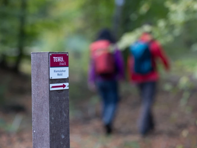 Beschilderung im Riemsloher Wald Wegweiser zur Terra Track Wanderroute im Riesenbecker Wald mit unscharfen Wanderern im Hintergrund.Signpost to the Terra Track hiking route in Riesenbeck Forest with blurred hikers in the background.Skilt til vandreruten Terra Track i Riesenbeck Skov med slørede vandrere i baggrunden.Wegwijzer naar de Terra Track wandelroute in het Riesenbeck bos met onscherpe wandelaars op de achtergrond.