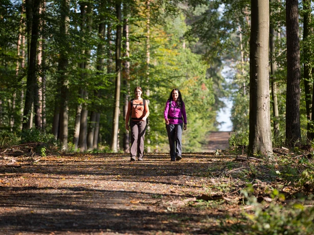 Twee vrouwen lopen over een zonovergoten bospad, omringd door hoge bomen.