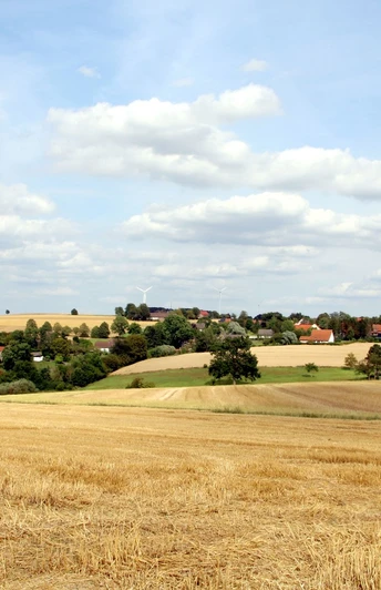 Blick auf Hummerbruch Blick auf goldene Getreidefelder im Vordergrund mit einer kleinen, von Windrädern umrahmten Ortschaft.
