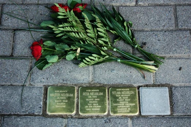 Stolpersteine Quakenbrück.jpg Drei Stolpersteine für die Familie Nebilum, umgeben von Blumen auf Pflastersteinen.