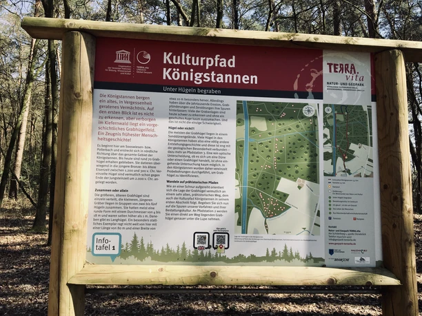 Informatiebord over de Königstannen cultuurroute met kaart en beschrijvingen in het bosgebied.