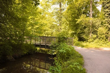 Brücke über den Ölbach | Kirchweg | Schlossweg Holzbrücke über einen kleinen Bach, umgeben von dichtem, grünem Laub im sonnigen Wald.