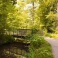 Brücke über den Ölbach | Kirchweg | Schlossweg Holzbrücke über einen kleinen Bach, umgeben von dichtem, grünem Laub im sonnigen Wald.