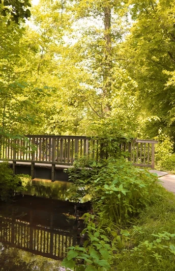 Brücke über den Ölbach | Kirchweg | Schlossweg Holzbrücke über einen kleinen Bach, umgeben von dichtem, grünem Laub im sonnigen Wald.