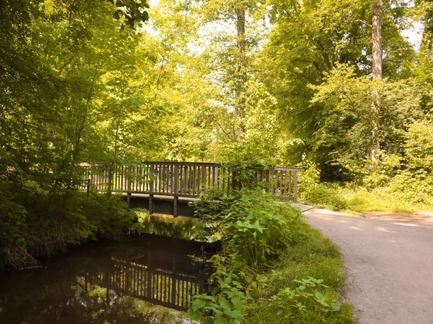 Brücke über den Ölbach | Kirchweg | Schlossweg Holzbrücke über einen kleinen Bach, umgeben von dichtem, grünem Laub im sonnigen Wald.