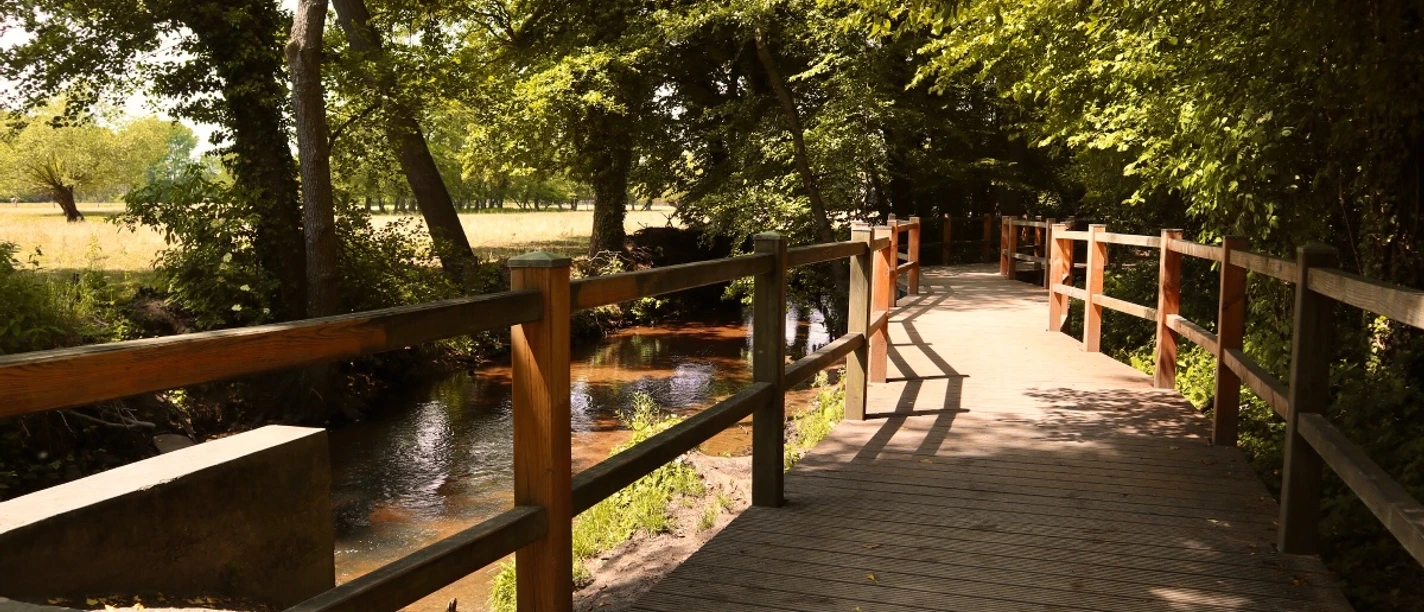 Brücke über den Ölbach Hölzerner Fußweg entlang eines ruhigen Baches, umgeben von dichtem Grün und schattenspendenden Bäumen.