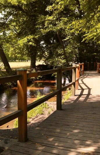 Brücke über den Ölbach Hölzerner Fußweg entlang eines ruhigen Baches, umgeben von dichtem Grün und schattenspendenden Bäumen.