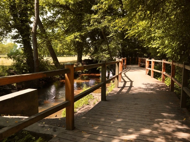 Brücke über den Ölbach Hölzerner Fußweg entlang eines ruhigen Baches, umgeben von dichtem Grün und schattenspendenden Bäumen.