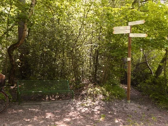 Grüne Parkbank und Wegweiser im sonnigen Wald, umgeben von dichter Vegetation.