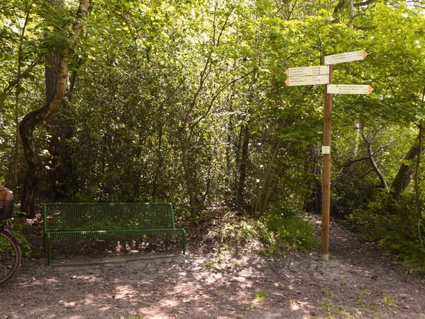 Rastplatz am Schlossweg Grüne Parkbank und Wegweiser im sonnigen Wald, umgeben von dichter Vegetation.