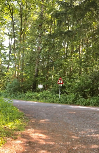 Waldweg mit Verkehrszeichen, umgeben von dichtem Grün und einem Wegweiser am Straßenrand.