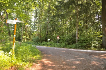 Brunnenweg Waldweg mit Verkehrszeichen, umgeben von dichtem Grün und einem Wegweiser am Straßenrand.