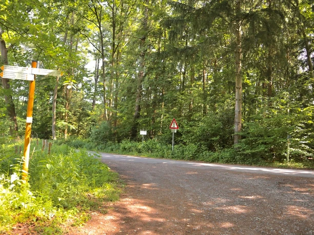 Brunnenweg Waldweg mit Verkehrszeichen, umgeben von dichtem Grün und einem Wegweiser am Straßenrand.