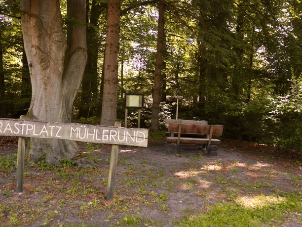 Rastplatz Mühlgrund Ein schattiger Rastplatz im Wald mit Sitzbank und Schild "Rastplatz Mühlgrund" neben einem Baum.