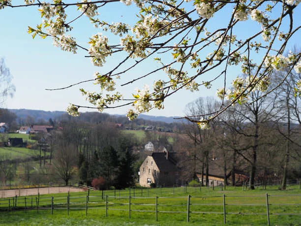 Bloeiende takken voor een groen heuvellandschap met een boerderij op de achtergrond.