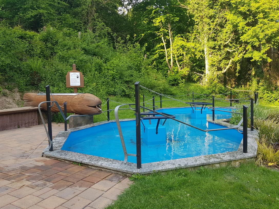 Tretbecken auf einer Lichtung