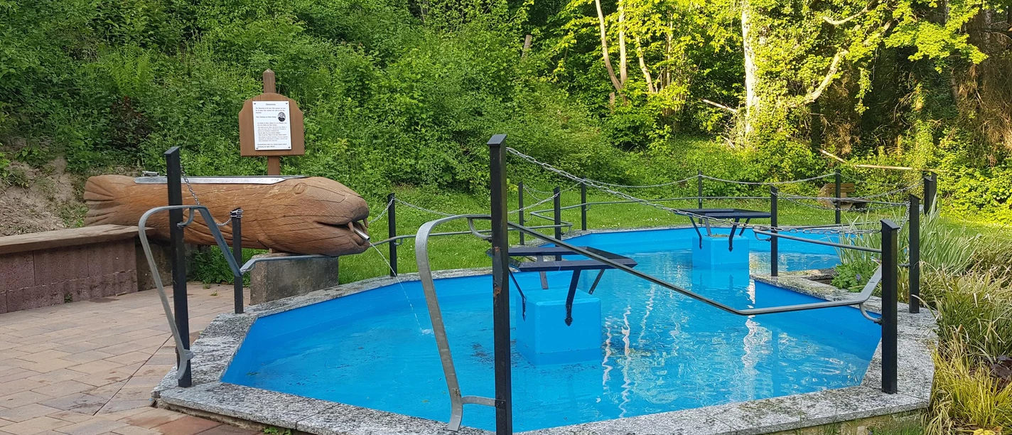 5_tretbecken_fuerstenau_hx1_stephanberg Tretbecken auf einer Lichtung