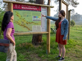 Informationstafel am Wacholderhain Zwei Personen betrachten eine Infotafel im Wacholderhain, umgeben von grüner Landschaft.Two people look at an information board in the juniper grove, surrounded by green countryside.To personer kigger på en informationstavle i en enebærlund omgivet af grønt landskab.Twee mensen kijken naar een informatiebord in het jeneverbesbos, omgeven door een groen landschap.