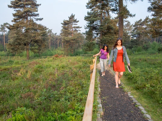 Der Barfußpfad Zwei Frauen spazieren auf einem Naturpfad durch eine bewaldete Heidelandschaft.Two women walk along a nature trail through a wooded heath landscape.To kvinder går langs en natursti gennem et skovklædt hedelandskab.Twee vrouwen lopen over een natuurpad door een bosrijk heidelandschap.