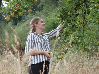 Mundraubwiese Junge Frau pflückt Äpfel von einem Baum auf einer Wiese an einem Spätsommertag.