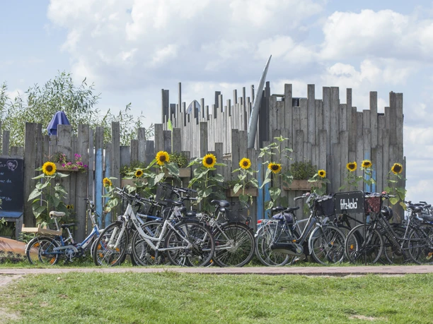 Fahrräder vor der Bar due Mar Bicycles in front of a wooden fence with blooming sunflowers, partly cloudy sky.
