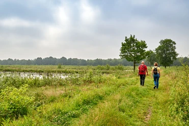 Wandern im Venner Moor Two hikers walk along a green meadow on a cloudy day in Lower Saxony.