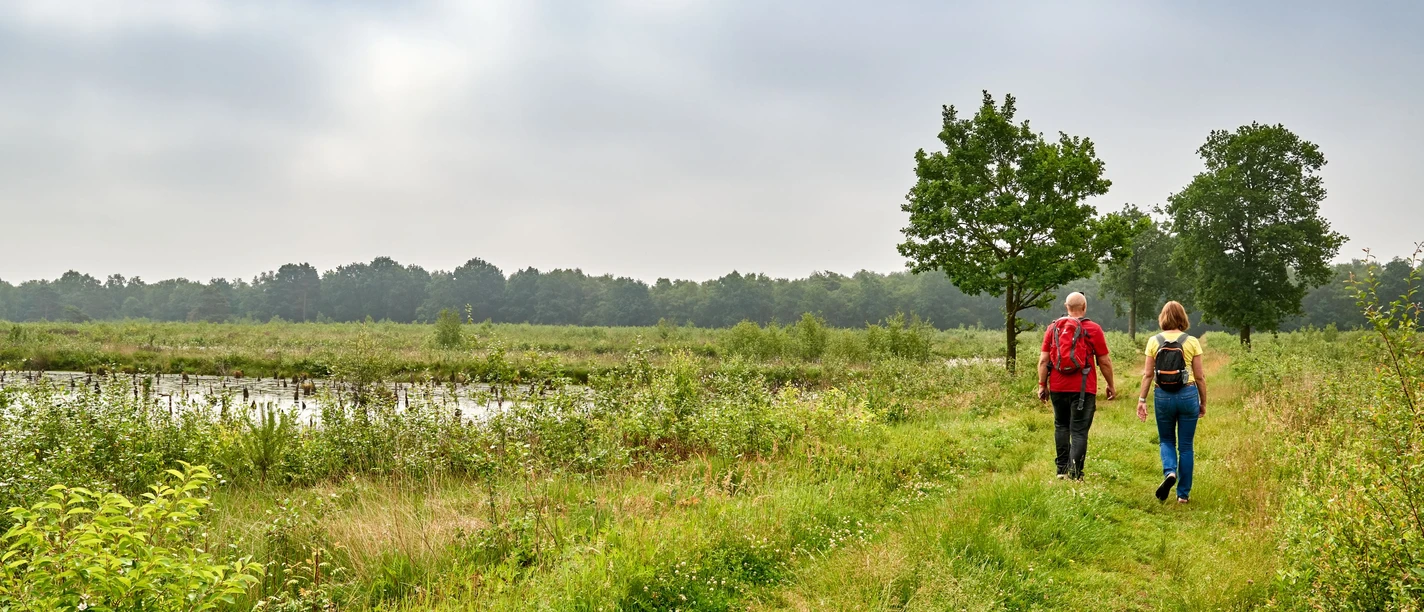 Wandern im Venner Moor Two hikers walk along a green meadow on a cloudy day in Lower Saxony.