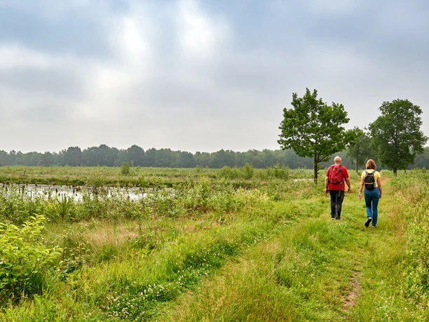 Wandern im Venner Moor Zwei Wanderer spazieren entlang einer grünen Wiese an einem bewölkten Tag in Niedersachsen.