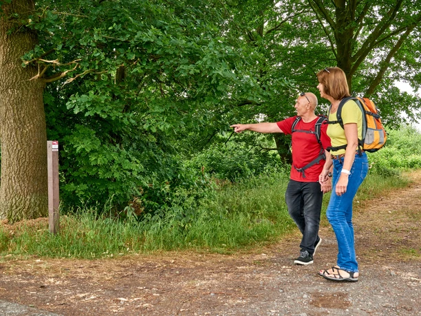 Wandelaars kijken naar een bord in een groen bos.