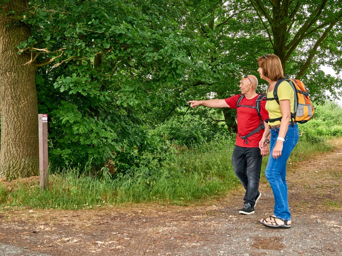 Wandern im Venner Moor Wanderer betrachten ein Schild in einem grünen Waldstück.Hikers look at a sign in a green forest.Vandrere ser på et skilt i en grøn skov.Wandelaars kijken naar een bord in een groen bos.