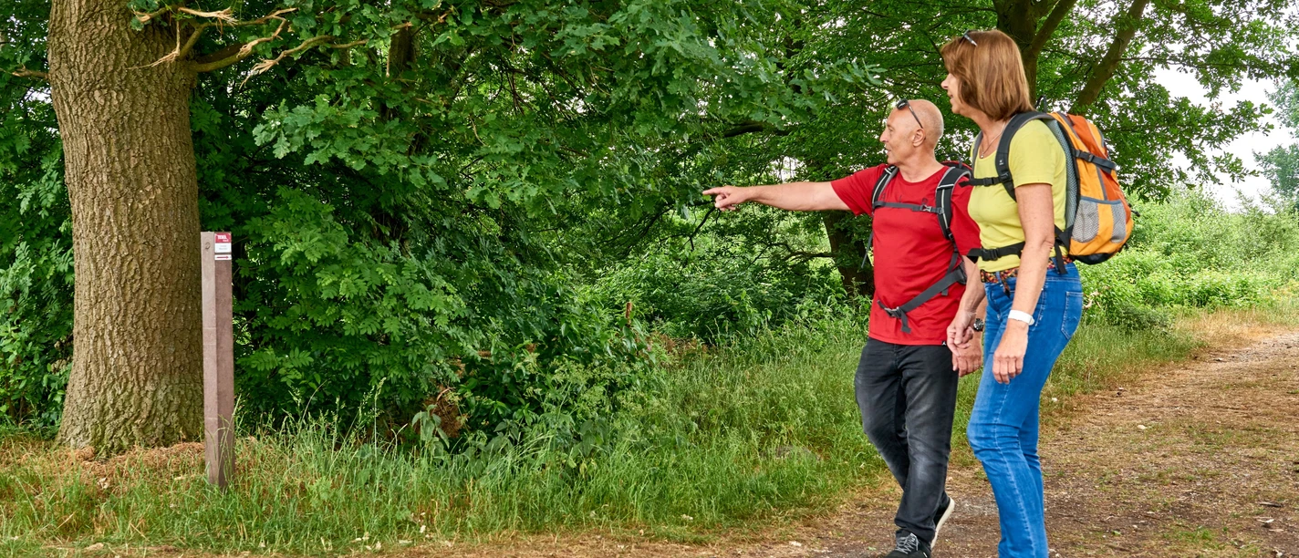 Wandern im Venner Moor Hikers look at a sign in a green forest.
