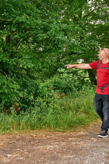 Wandern im Venner Moor Wanderer betrachten ein Schild in einem grünen Waldstück.Hikers look at a sign in a green forest.Vandrere ser på et skilt i en grøn skov.Wandelaars kijken naar een bord in een groen bos.