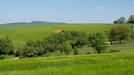 16_wiesenbossbeorn_hx3_stephanberg Grüne Hügel mit verstreuten Bäumen und einem roten Dach in der Ferne unter klarem blauen Himmel.
