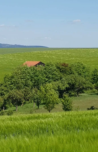 16_wiesenbossbeorn_hx3_stephanberg Grüne Hügel mit verstreuten Bäumen und einem roten Dach in der Ferne unter klarem blauen Himmel.