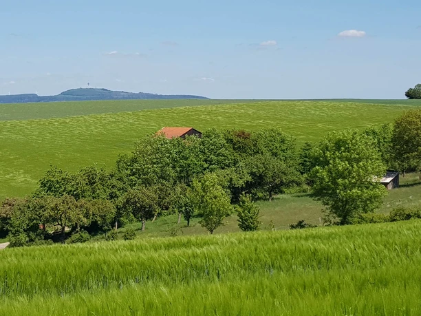 16_wiesenbossbeorn_hx3_stephanberg Grüne Hügel mit verstreuten Bäumen und einem roten Dach in der Ferne unter klarem blauen Himmel.