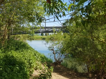 Flussmündung mit grünen Bäumen im Vordergrund und einer Eisenbahnbrücke bei klarem Himmel.